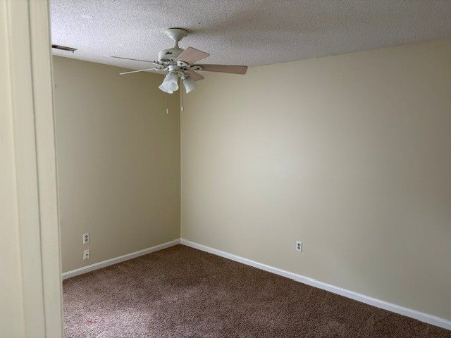 Gallery Photo 4